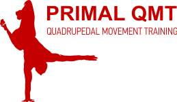 Primal QMT